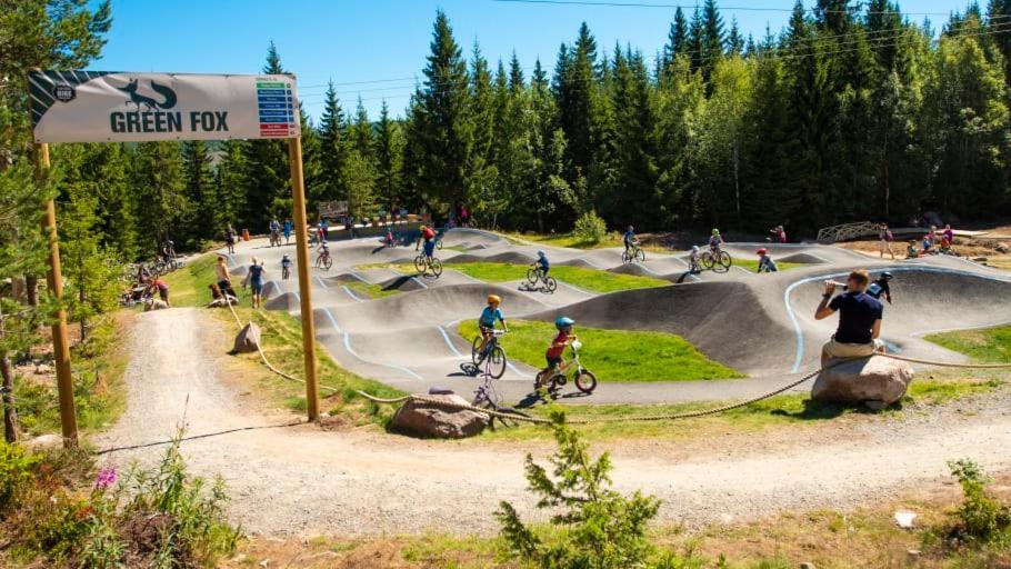 In The Middle Of Trysilfjellet - Welcome Center - Apartment With 3 Bedrooms - By Bike Arena And Ski Lift Exteriér fotografie